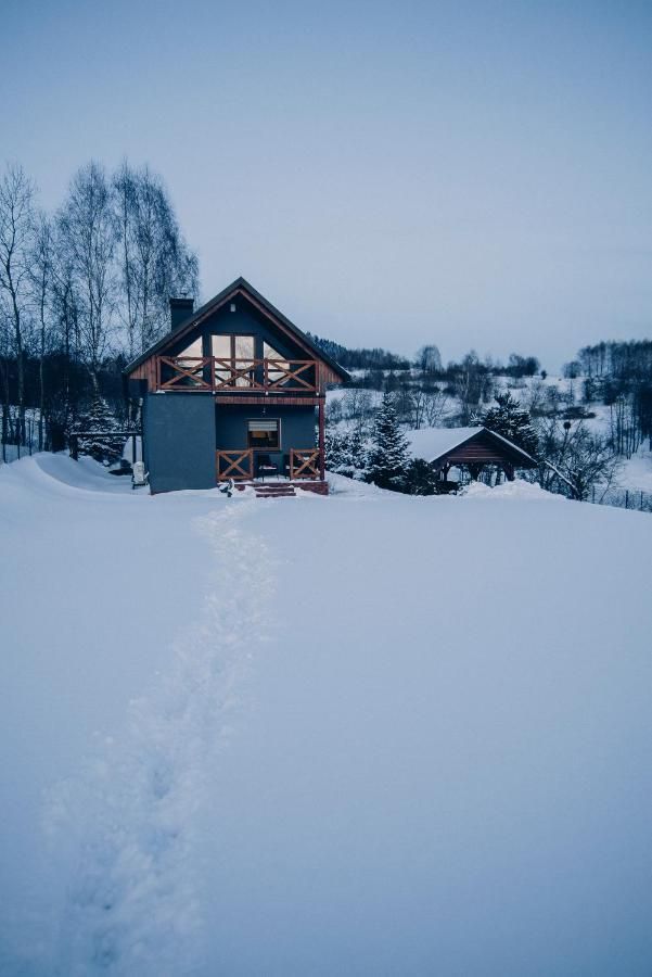 Domek i ogród przykryte śniegiem